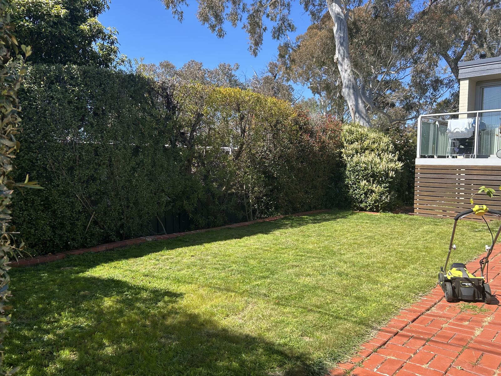 Neatly mowed and edged Canberra backyard lawn after service